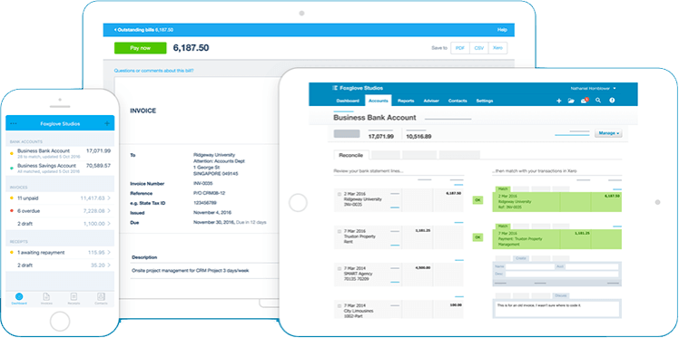 Xero Demo